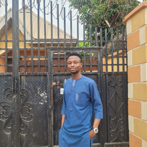 Oluwaseyi E. profile photo