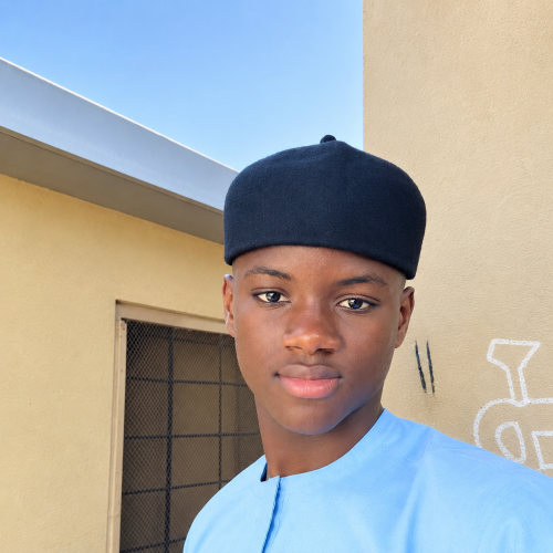 Abdulazizu  M. profile photo