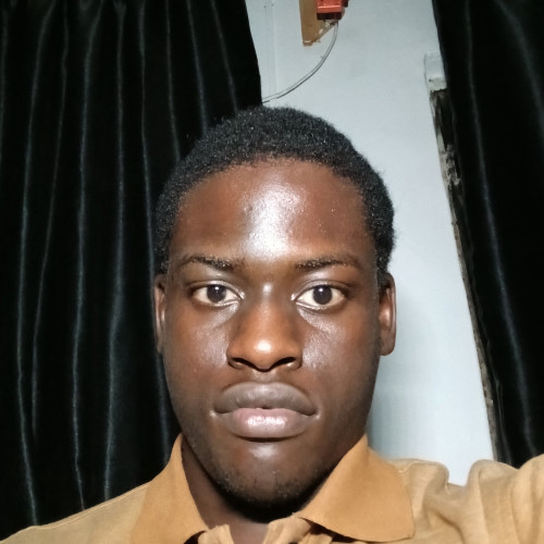 adeleke a. profile photo