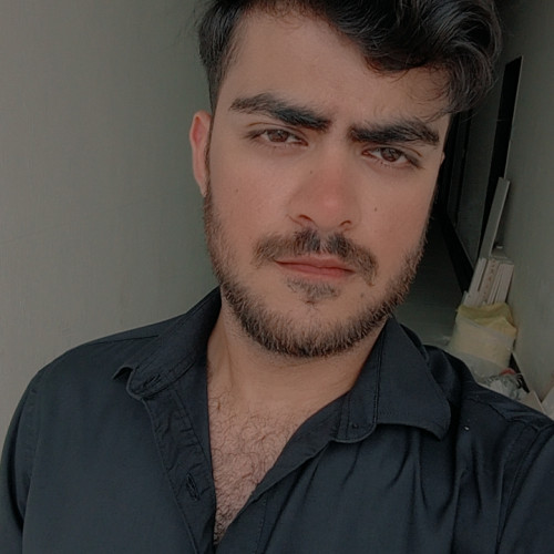 zargham P. profile photo
