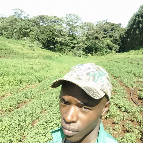 Evans K. profile photo