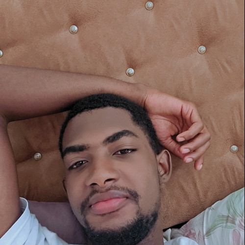 David B. profile photo