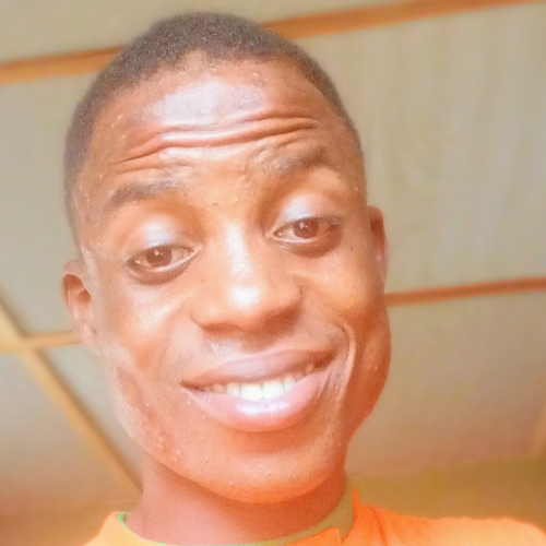 ADEWUMI  O. profile photo