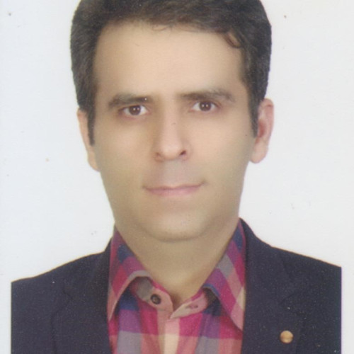 Hamid F.