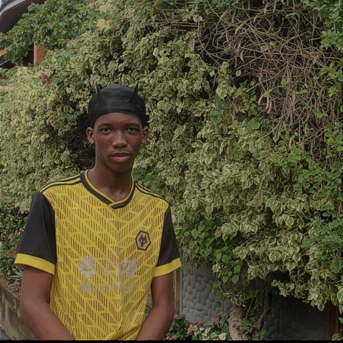 David  I. profile photo