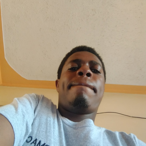 Daniel L. profile photo