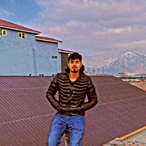 Zeeshan  R.