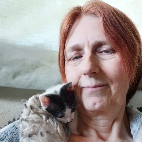 Ellen B. profile photo