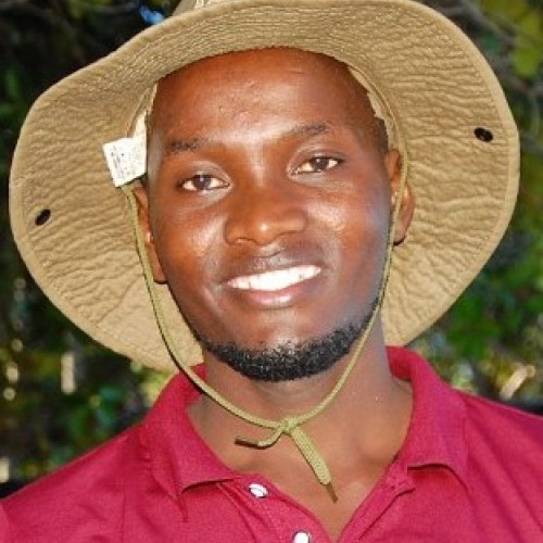 Dan  B. profile photo