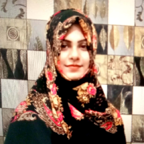 KaneezFatima M.