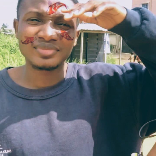 Emmanuel  N. profile photo