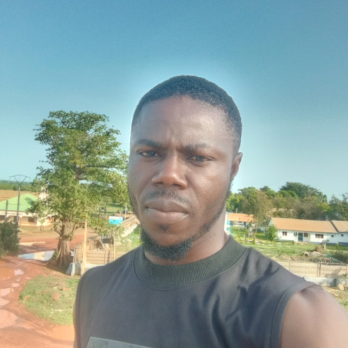 nkemnacho  O. profile photo