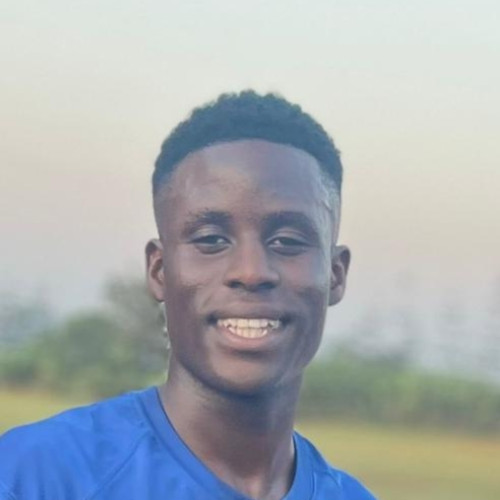 Nsereko D.