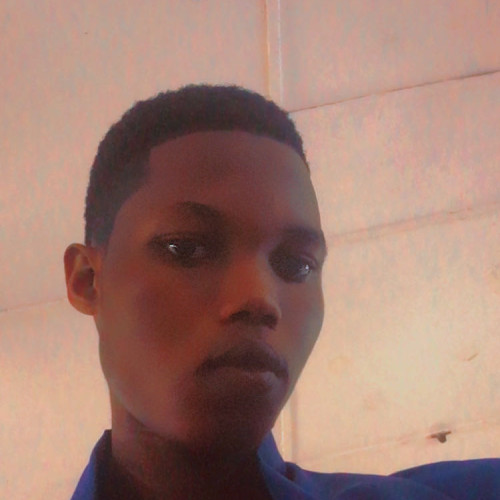 adesola p. profile photo