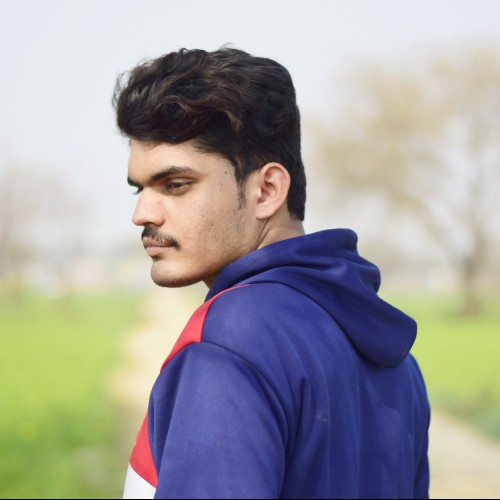 Ali  H. profile photo