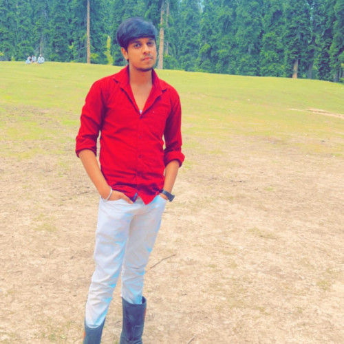 Mayank  J.