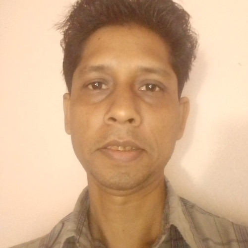 Subhendu R.