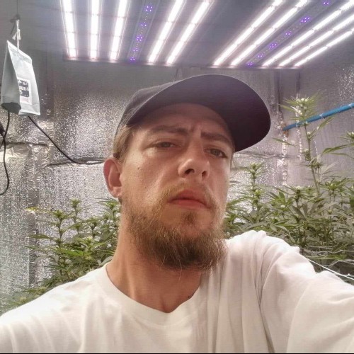 Max M. profile photo