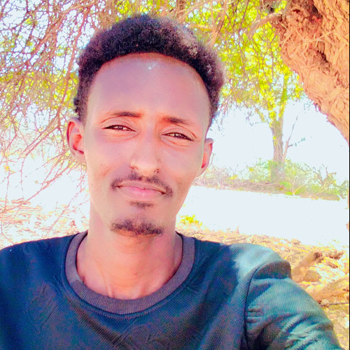 Diago D. profile photo
