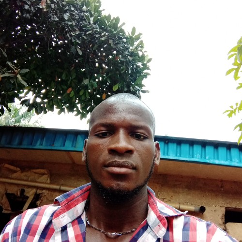 Nwanekezi J.