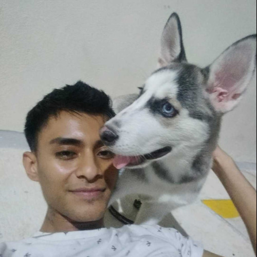 darwin A. profile photo
