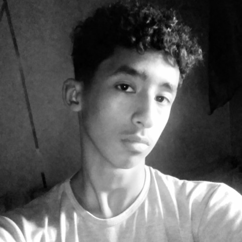 Houssam A.