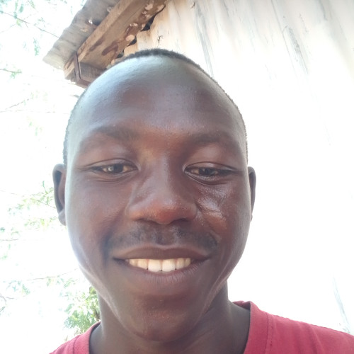 Stanley M. profile photo