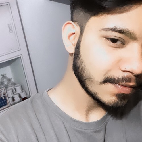 Kartik C.