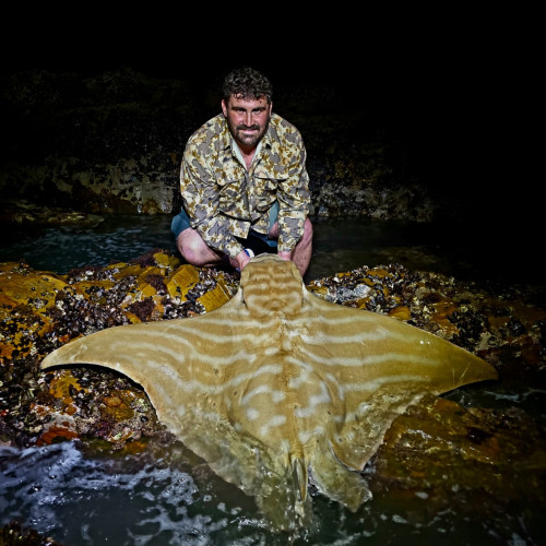 Morne D. profile photo