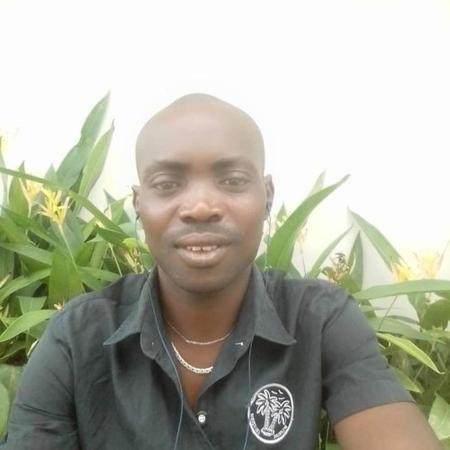 Oluwaseun  A. profile photo