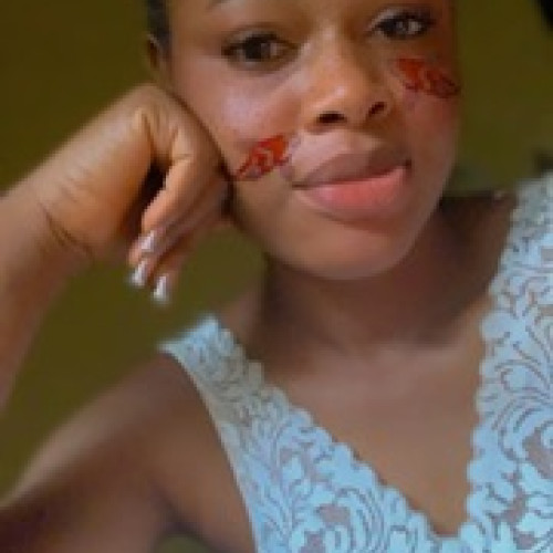 Adegoke L. profile photo