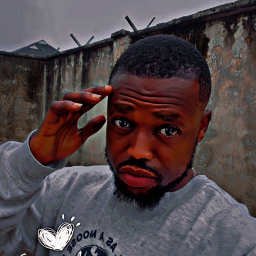 Oluwashola M. profile photo
