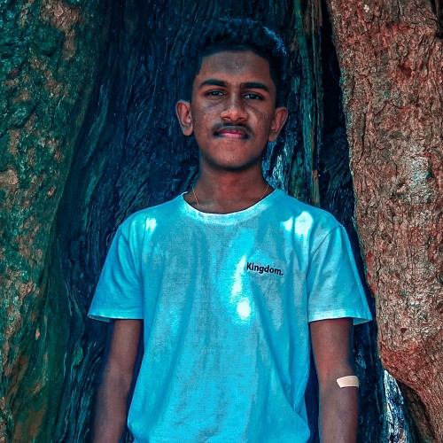 Amesh  N.