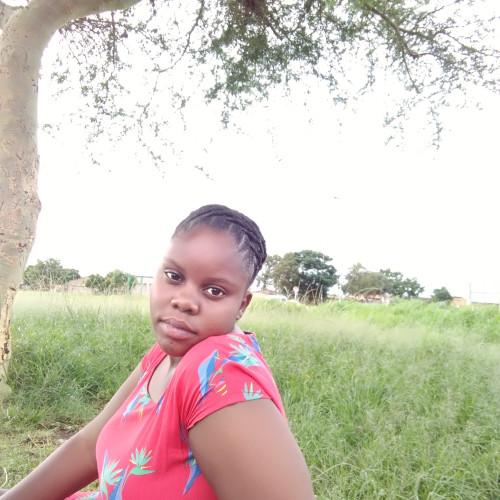 Sarah M. profile photo