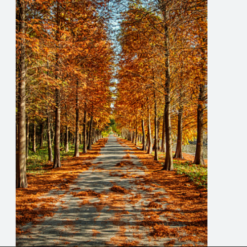 MARIA M. profile photo