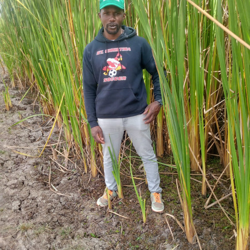 Sebastian  K. profile photo