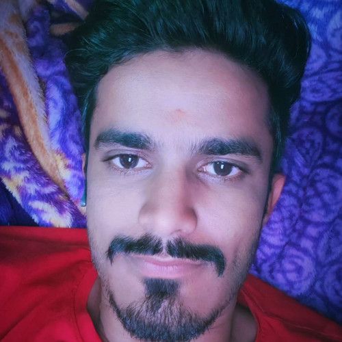 vipin v. profile photo