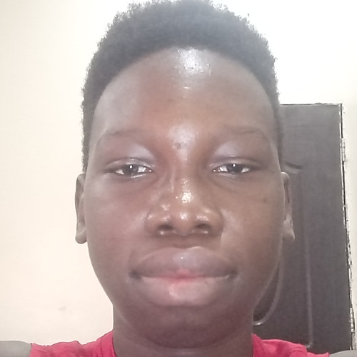 Agboola  E. profile photo