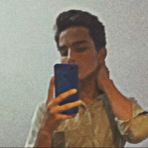 Muhammad Asad  Q.