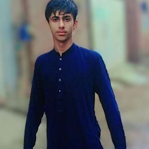 malik h. profile photo