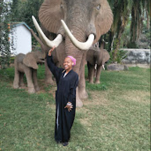Salma T. profile photo
