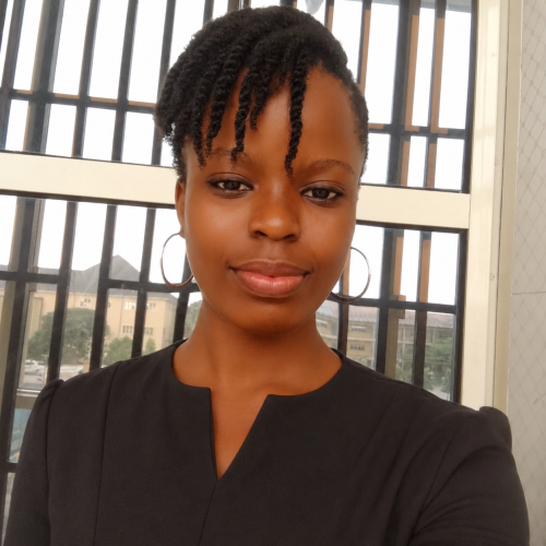 IFEANYI O. profile photo