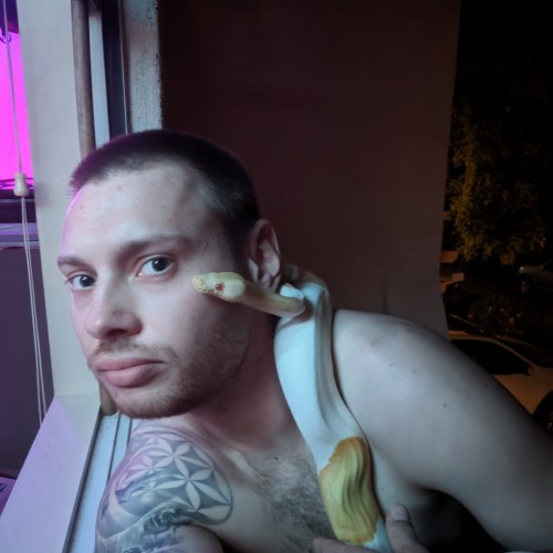 Reinis K. profile photo
