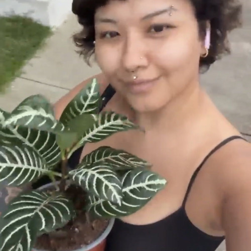 Caro A. profile photo