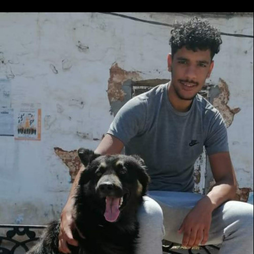 Walid B. profile photo