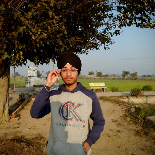 Harmandeep S. profile photo