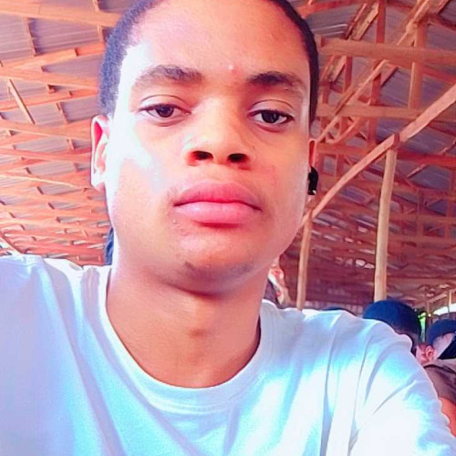 ifeanyichukwu c. profile photo