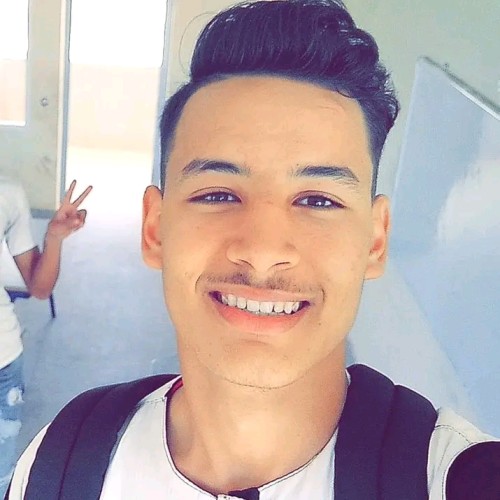 Anas  L.