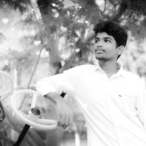 Dinesh C.