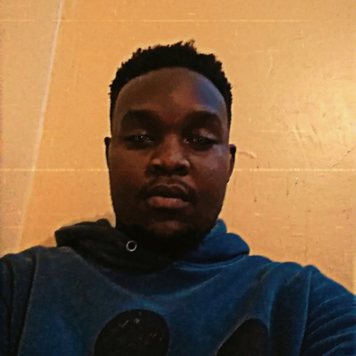 peter N. profile photo